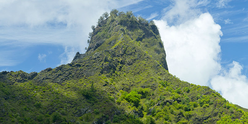 Hiva Oa Montagne